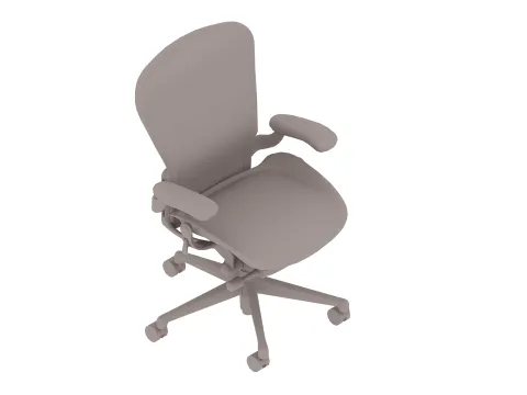 Aeron Chair–C Size–Height Adjustable Arms